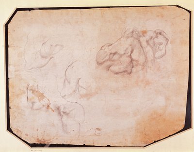 Studie van Spieren (verso) door Michelangelo Buonarroti